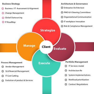 CIO Advisory Services