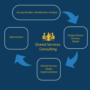 Shared Services Consulting